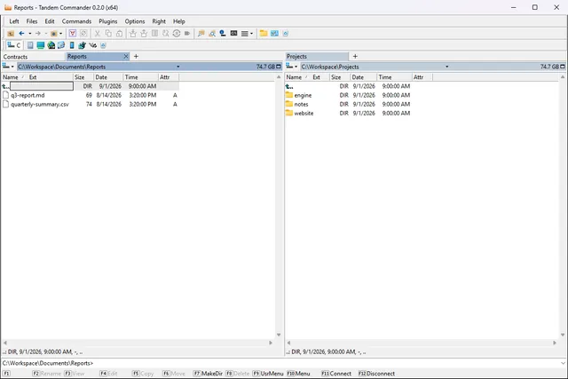 The main window with several directory tabs open above the left panel, the active tab carrying a close button.