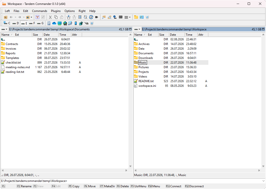 Tandem Commander in its light theme, two file panels side by side